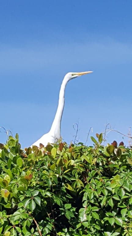 City of Marco Island Racquet Center photo
