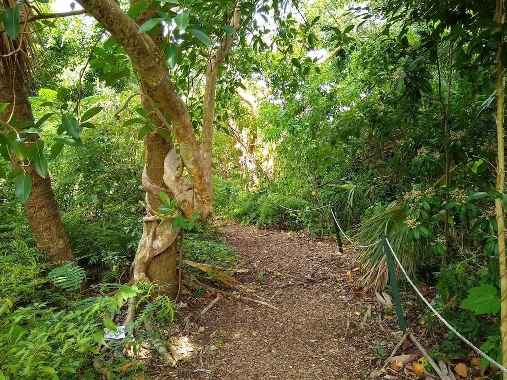 Otter Mound Preserve photo