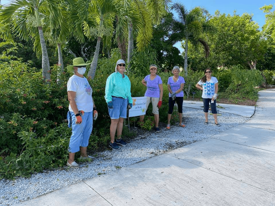 Calusa Park Butterfly Garden photo