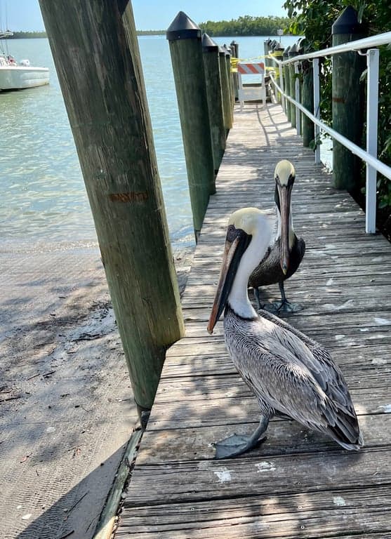 Goodland Boat Park photo