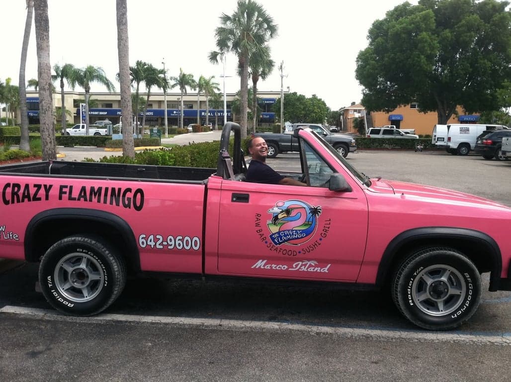 The Crazy Flamingo photo