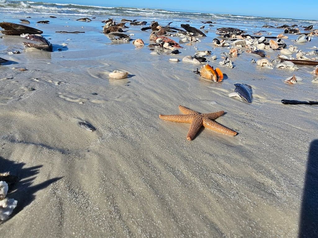 Reel Kind Fishing and Tours photo