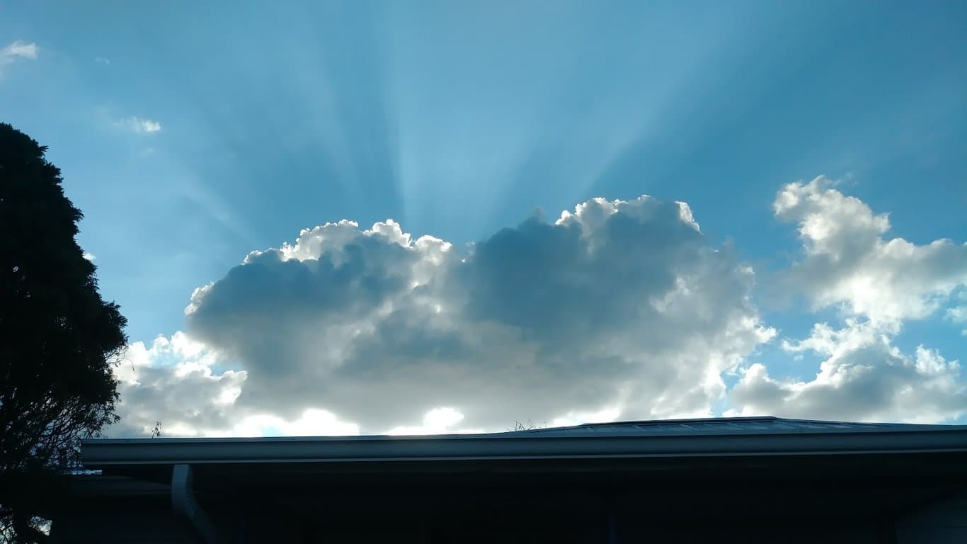 MarGood Harbor Park photo