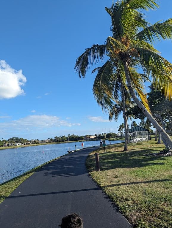 Model Boat Sailing photo