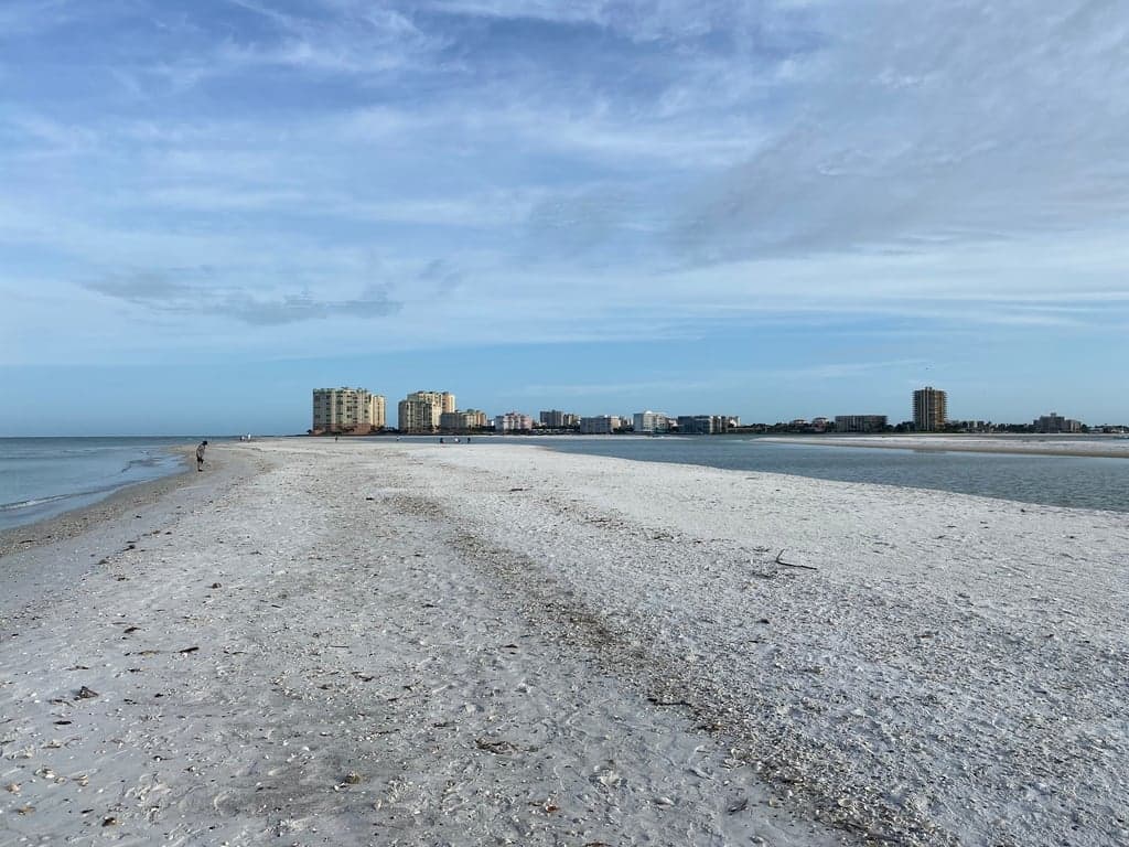 Reel Kind Fishing and Tours photo