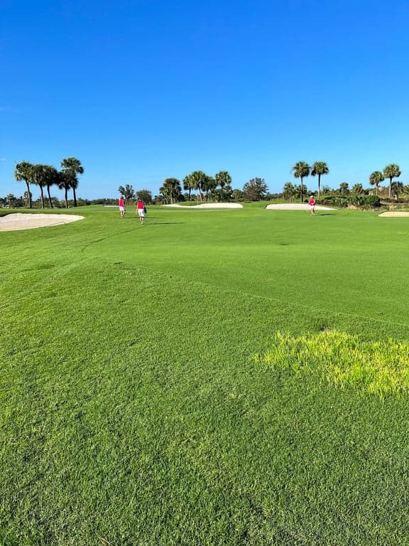 The Rookery at Marco photo