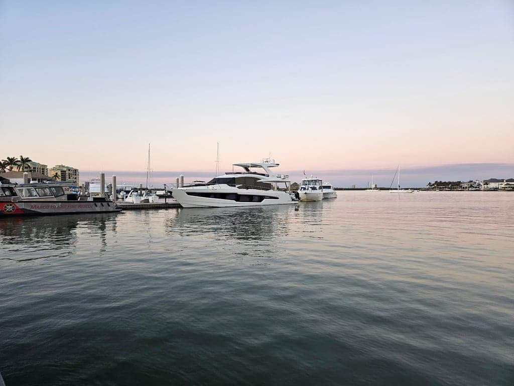 Dolphin Tiki Bar & Grill photo