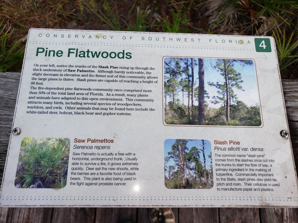 Briggs Boardwalk photo