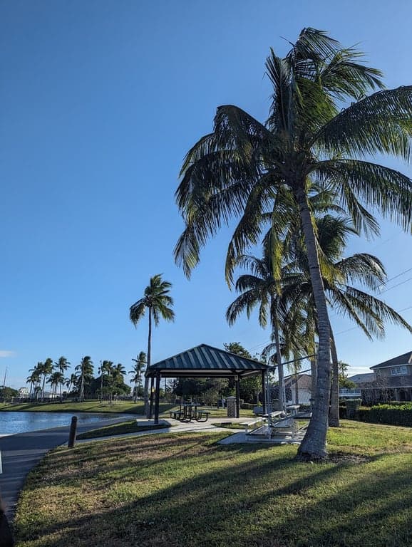 Model Boat Sailing photo
