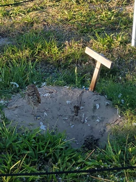 Winterberry Park photo