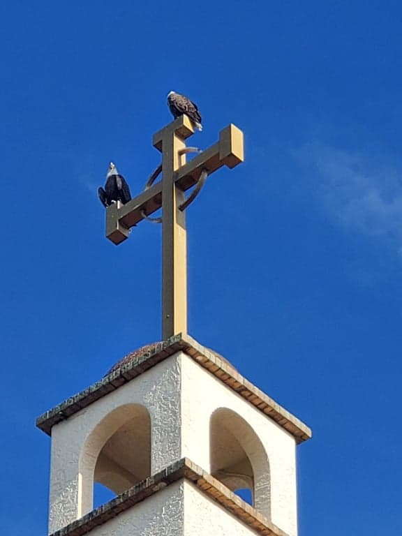 San Marco Catholic Church photo