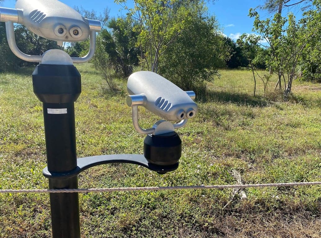 Marco Island Nature Preserve and Bird Sanctuary photo