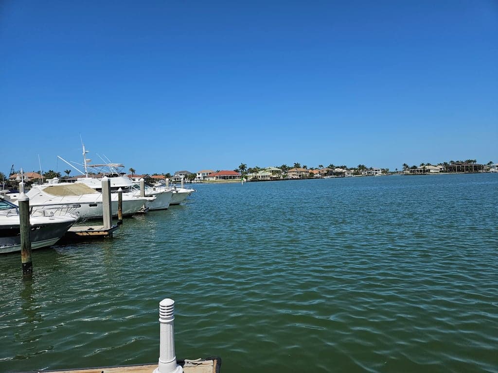 CJ's on the Bay photo