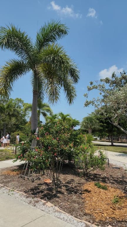 Winterberry Park photo