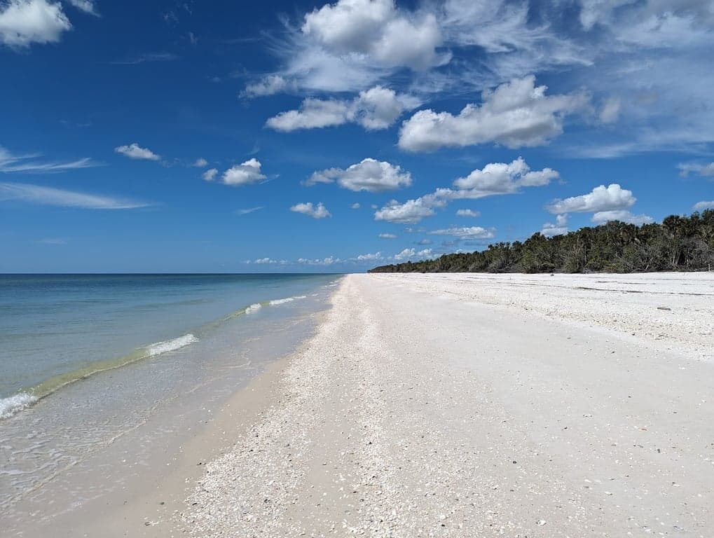 Keewaydin Island Beach photo