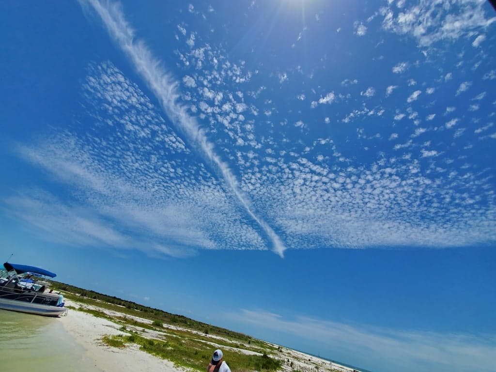 Rookery Bay National Estuarine Research Reserve photo