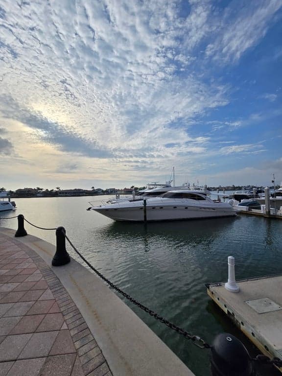 Mango's Dockside Bistro photo