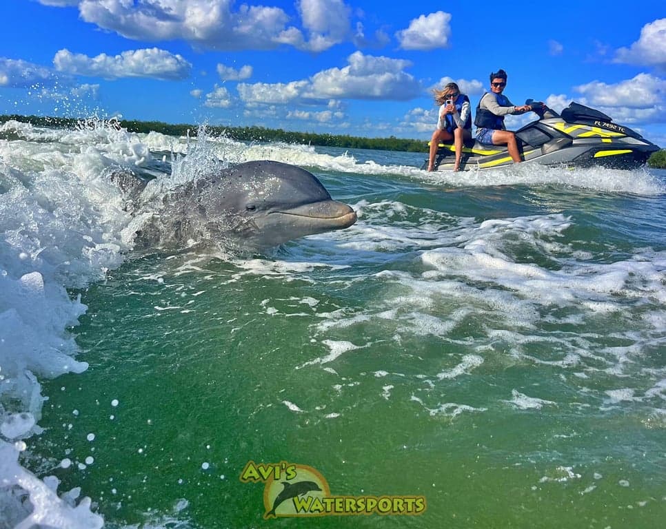 Avi's Watersports - Dolphin Jet Ski Tours photo