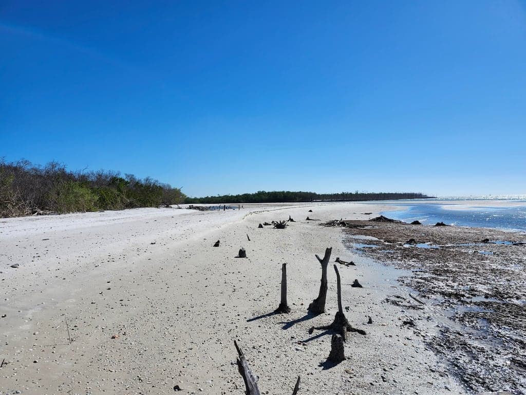 Eco Endeavors & Breakwater Adventures photo