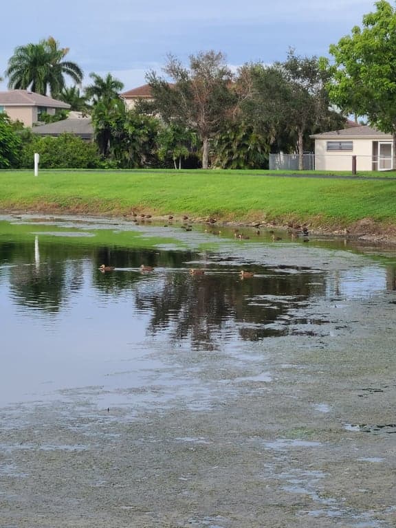 Canine Cove Dog Park photo