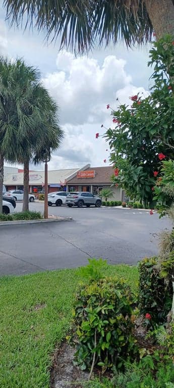 Little Caesars Pizza photo