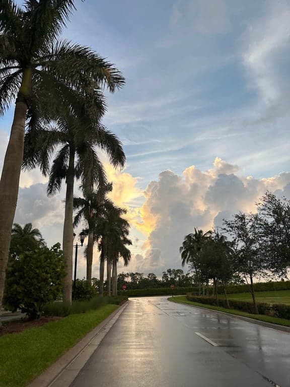 The Rookery at Marco photo