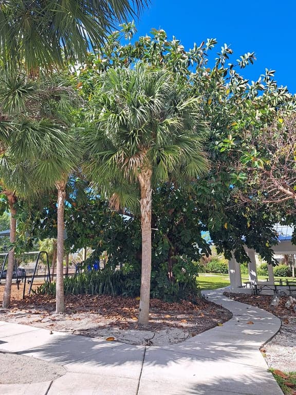 MarGood Harbor Park photo