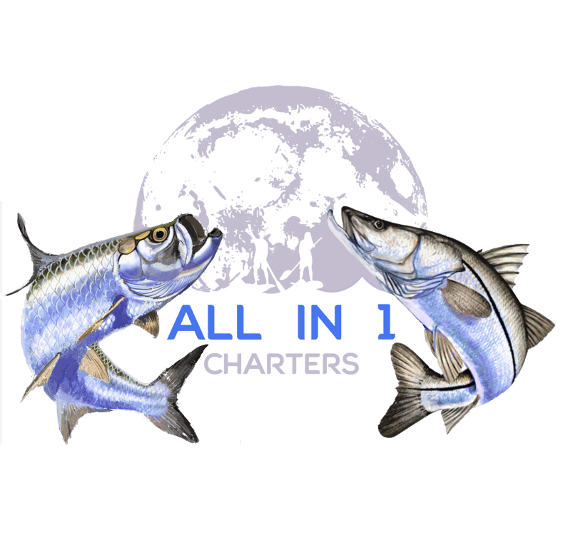 All in 1 Charters LLC photo