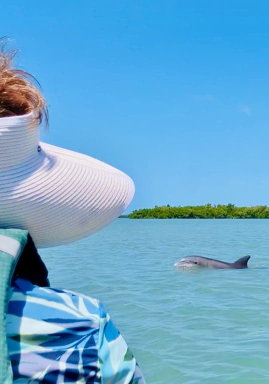 Marco Eco Tours - Kayak Tours and Rentals photo