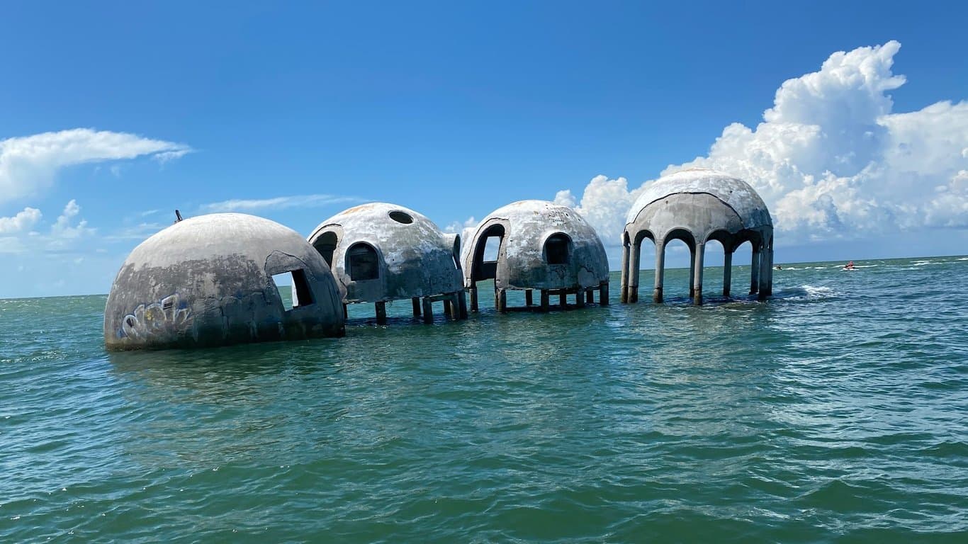 Eco Endeavors & Breakwater Adventures photo