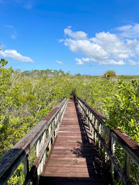 Briggs Boardwalk photo