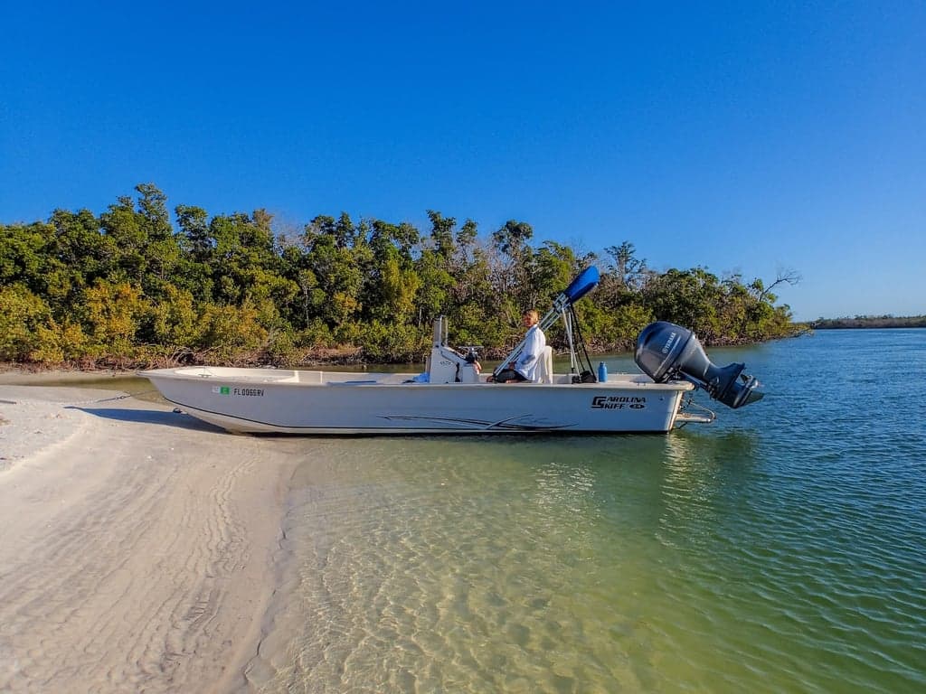 Marco Island Dolphin Tour photo