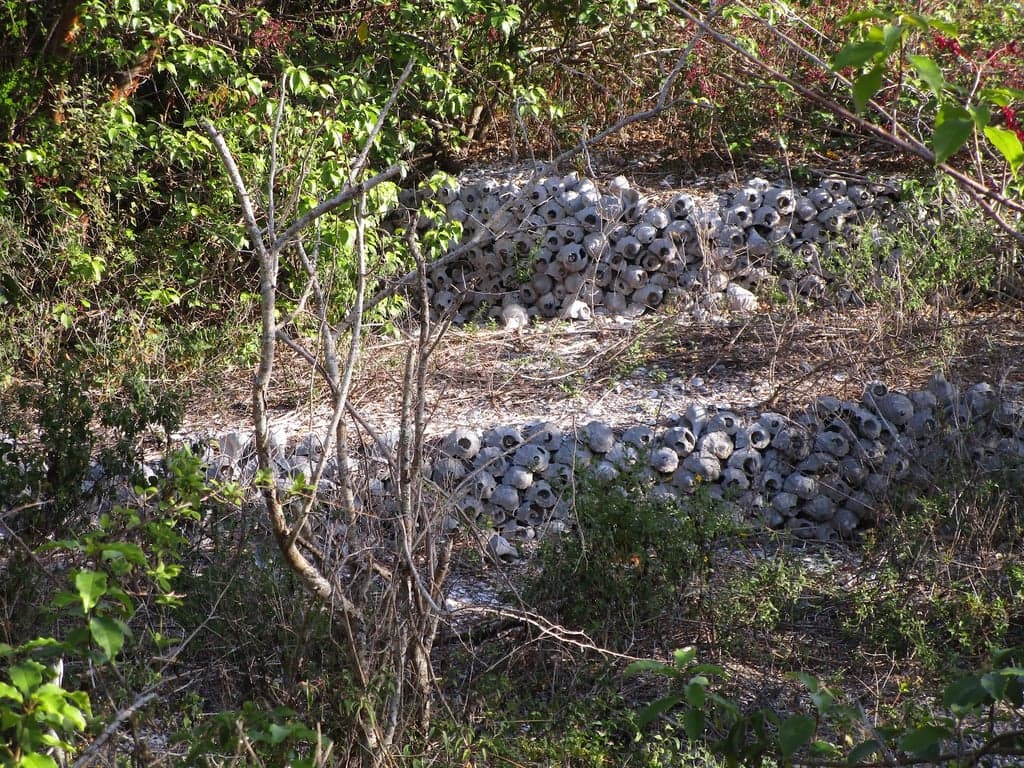 Otter Mound Preserve photo