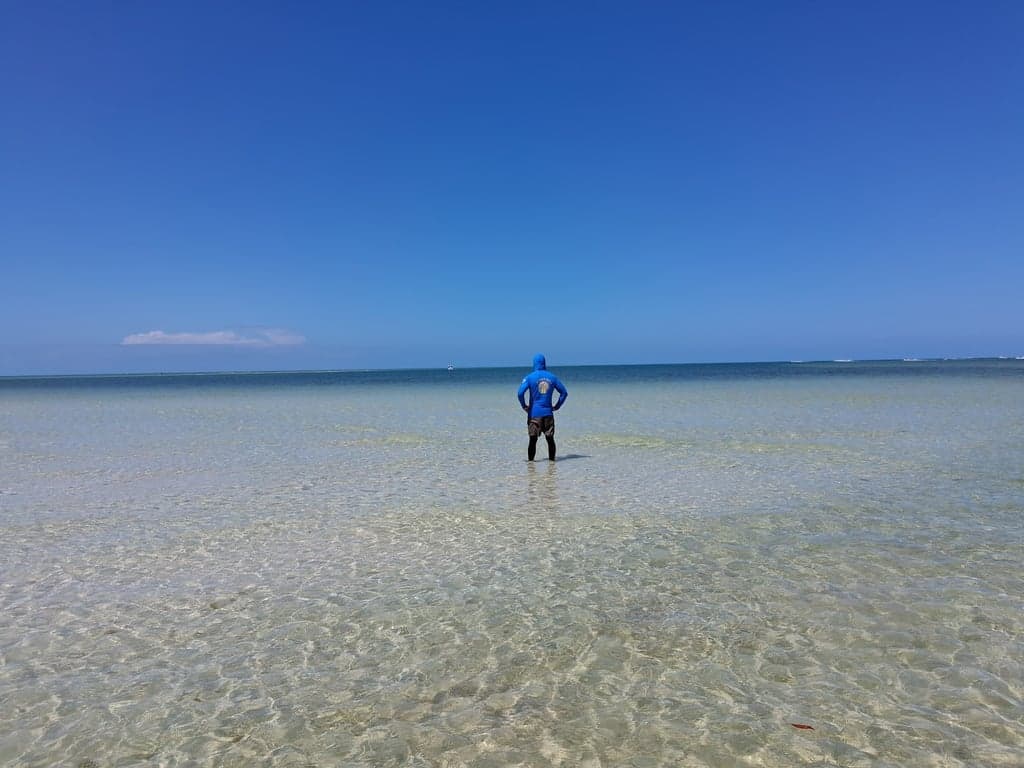 Marco Eco Tours - Kayak Tours and Rentals photo