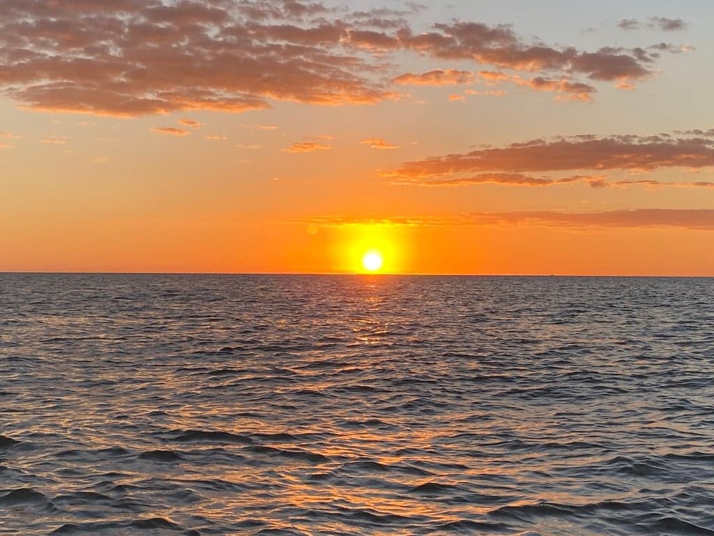 Dreamlander Tours of Marco Island photo