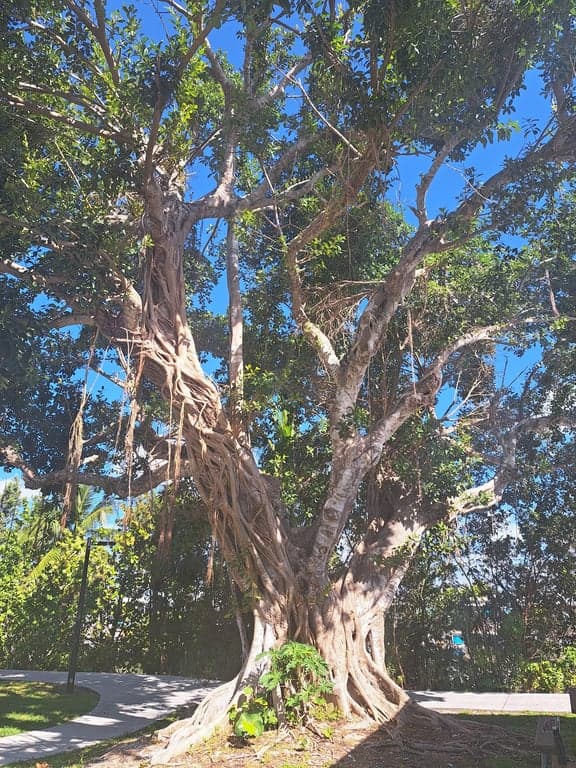 MarGood Harbor Park photo
