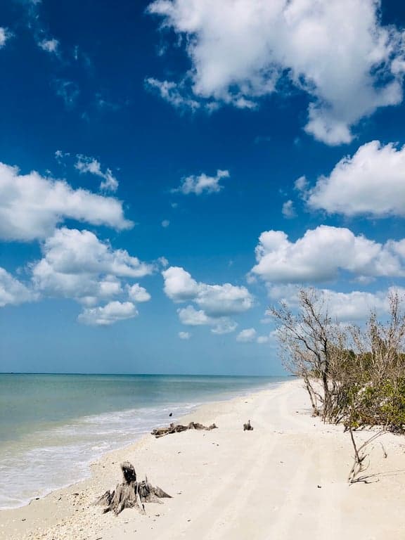 Keewaydin Island Beach photo