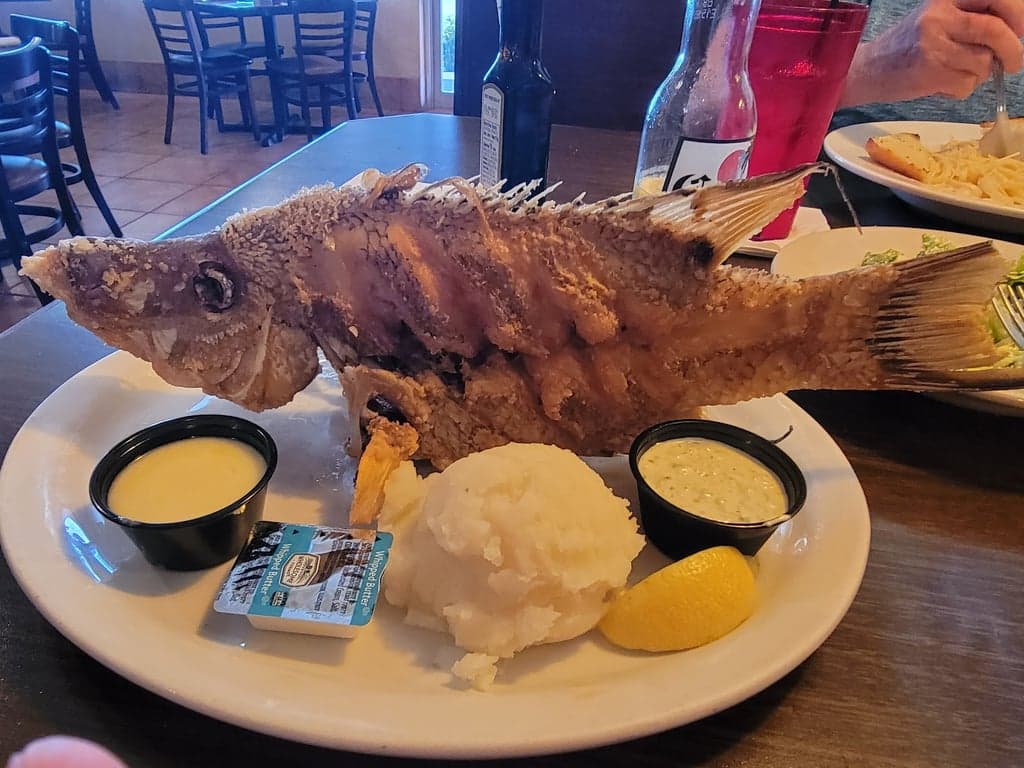 Cocomo's Grill photo