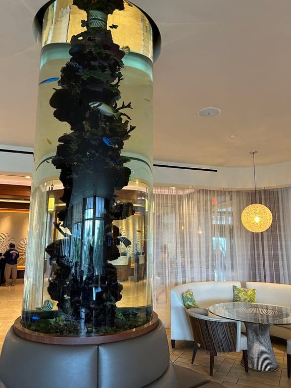 Korals Sushi & Cocktail Lobby Bar photo