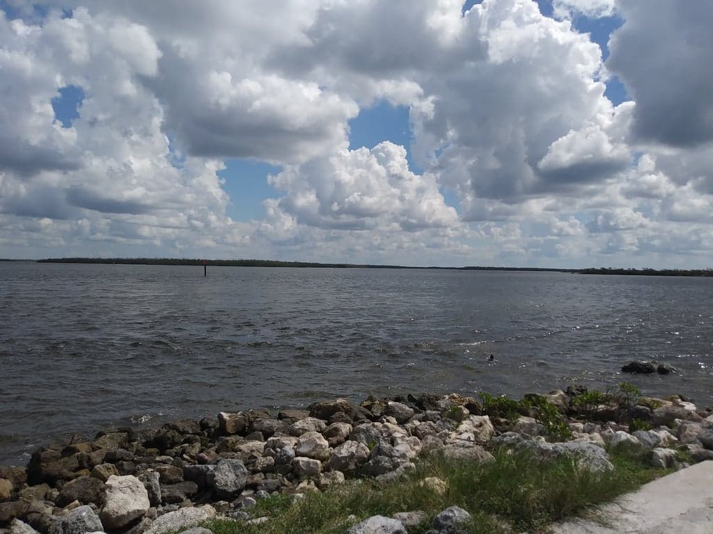 Marco Island Yacht Club photo
