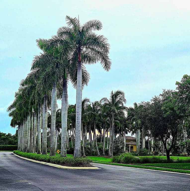 Hammock Bay Golf & Country Club photo
