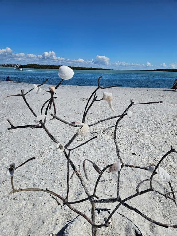 Reel Kind Fishing and Tours photo