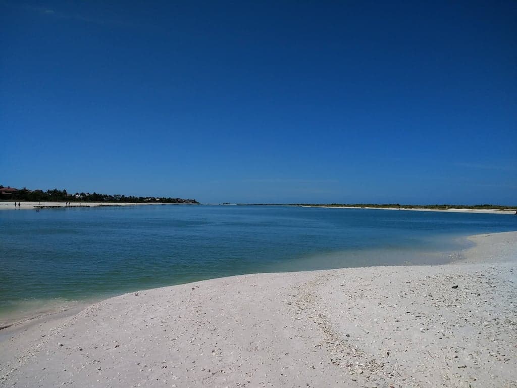 Rookery Bay National Estuarine Research Reserve photo