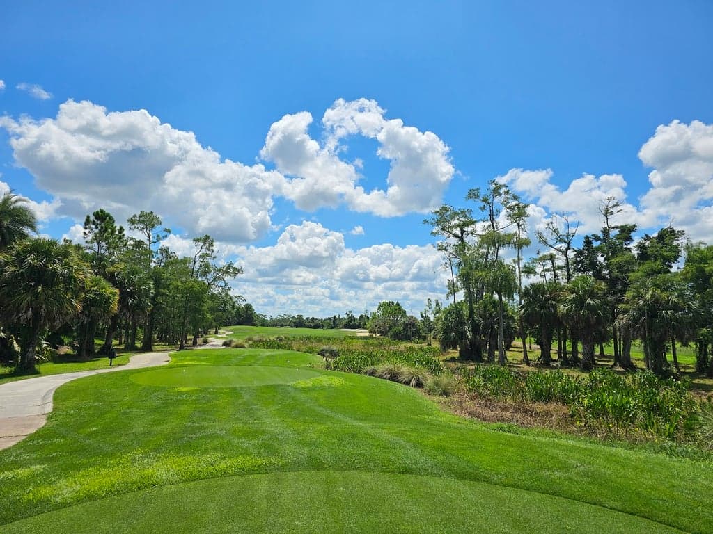 The Rookery at Marco photo