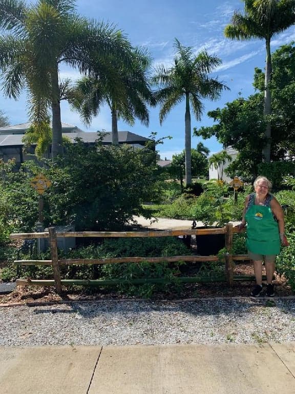 Calusa Park Butterfly Garden photo
