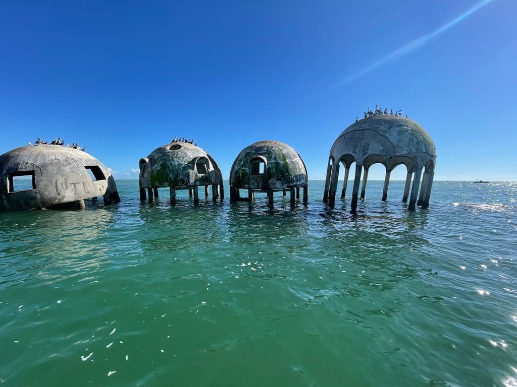 Dreamlander Tours of Marco Island photo