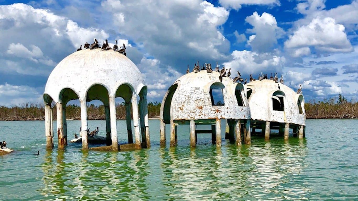 Marco Island Dolphin Tour photo