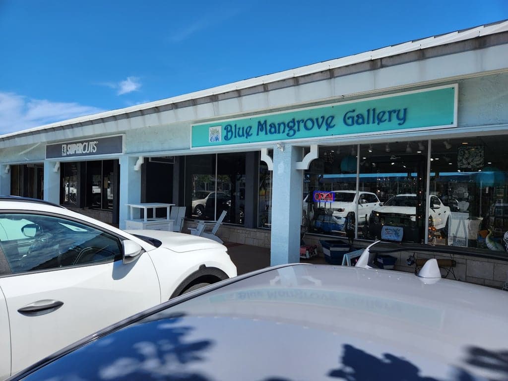 Blue Mangrove Gallery photo