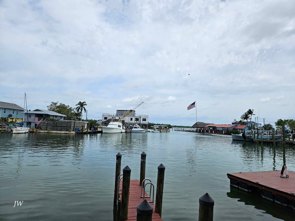 Little Bar Restaurant photo