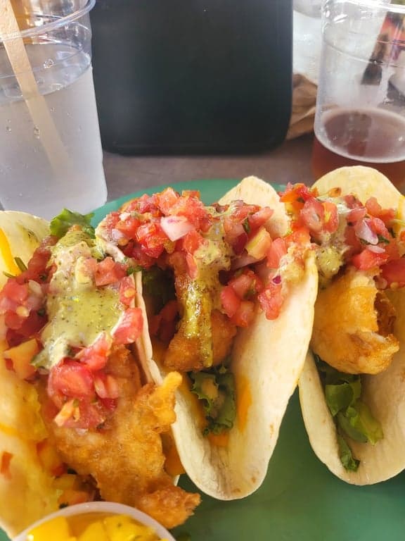 Dolphin Tiki Bar & Grill photo